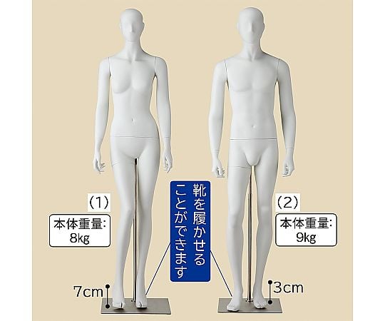 ボディ・マネキン一覧 【AXEL】 アズワン