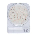 コンパクトドライ™ TC（生菌数測定用）4枚×10袋　06740