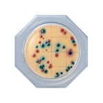 フードスタンプ(R) XM-G寒天（大腸菌・大腸菌群測定用）　5枚×6袋　06776