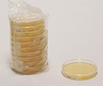 好気性微生物試験培地 サブローデキストロース寒天培地（クロラモフェニコール入） 30mL 1箱（20枚入）　1.46003.0020