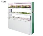 Compact Cultivated Rack Neoplantamini　