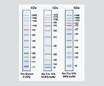 タンパク質電気泳動マーカー PMシリーズ