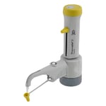 即購入OK‼️ SWINGASOUL 2NDPRESS 即購入OK‼️ SWINGASOUL 2NDPRESS