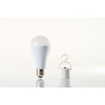 防災電球 蓄電型LED電球 60W形相当 E26口金 消費電力6.2W KS01Nシリーズ