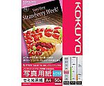 写真用紙 セミ光沢紙 A4 1冊（50枚）　KJ-J14A4-50