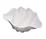 シャコ貝 ホワイト L プラスチック　2008100