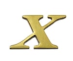 真鍮ゴールド文字 大文字 X　QL20-X