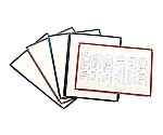 えいむ 洋風メニューブック用中紙 金色枠 中（B5）（10枚入）　4728610