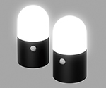 乾電池式LEDガーデンセンサーライト 丸型 2個セット ブラック φ100×185mm　ZSL-MN1M-BKS2