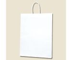 HEIKO 紙袋 Pスムース 39-4 白無地 25枚　003155100