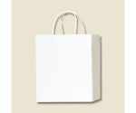 HEIKO 紙袋 PBスムース M-1 白 10枚　003136201