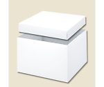 HEIKO 箱 バラエティボックス 0-23-150 10枚　006844800