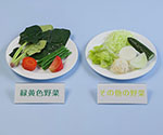 野菜350g分例示フードモデル　IGF-005