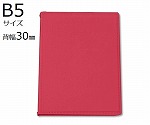 カルテブック(スタンダードタイプ)　B5　2穴　レッド　10冊入　　SK-530-2R