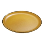 陶磁器　丸皿　φ240mm　RML04062