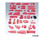 フードモデル(獣鳥肉類) 豚ひき肉40g　5-33