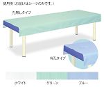 SEK診察台シーツ 幅60×長さ180cm　グリーン　TB-1377