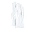 綿薄手袋　10双組　L　WW-947