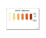 パックテスト標準色 5pc 硝酸（高濃度）1袋（5枚入）　WAK-NO3(C)-SH5