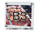 ウォールメイキャップ　クリア　B3　WTT-B3
