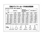 クレーン関係標識　玉掛ワイヤーロープの安全荷重表　450×600mm　塩ビ　084200