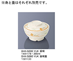 飯椀　友花　BHK-5006_YUK