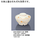 飯椀　友花　BHK-6005_YUK