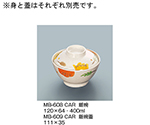 飯椀蓋　カリブ　MB-609_CAR