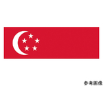 国旗No.1（70×105cm）　シンガポ-ル　416326