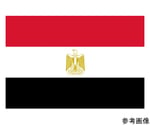 国旗No.1（70×105cm）　エジプト・アラブ　416163