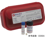 標準菌株（EZ-Accu Shot） Lactobacillus johnsonii derived from ATCC(R) 11506™ 1個（5キット入）　01272A