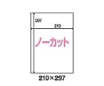 プリンタ用ラベル用紙 ノーカット 100枚　31738859