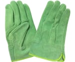 現場系女子　牛床革手袋　オイル　外縫い　内綿　グリーン　女性用Sサイズ　AG2552-S
