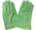 現場系女子　牛床革手袋　オイル　外縫い　内綿　グリーン　女性用Mサイズ　AG2552-M