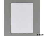 A4/ コピー偽造防止用紙(両面/100枚)　EA759XD-132