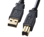 USBケーブル（A-B/2.0対応/金メッキ/黒） 1.0m　EA764AJ-80