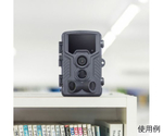 [単3x8本] センサー付暗視カメラ(防水型)　EA864CD-142