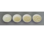 離乳食・発達段階別素材単品 うどん 4種/1式セット （磁石なし）　44R-X