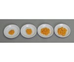 離乳食・発達段階別素材単品 かぼちゃ 4種/1式セット （磁石なし）　44R-R