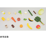 学校給食指導用・食品モデル（食材） 白菜 40g （磁石付）　55G-1