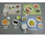 慢性肝炎（体重60kg） 1式セット （磁石なし）　66