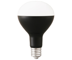 LED電球 投光器用 3000Lm　LDR25D-H-E39-E