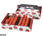 フルーツ容器 PS手提箱イチゴ 20枚×5パック入※イチゴは入っていません　00553649