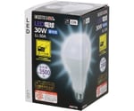 EARTH MAN　LED電球 30W　LL-30A