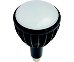 LED交換球 エコビック100W E39 昼白色 ワイド　L100W-E39J-WBK-50K