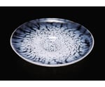 Bridal Casual shallow plate230 （opal） 1ケース(18個入)　F71482