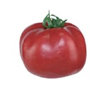 タッチレス ジュースディスペンサー オプション 食品サンプル トマト　560104-L
