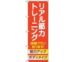 のぼり旗 リアル筋力トレーニング 体験 No.GNB-4689 W600×H1800　6300014834