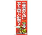 のぼり旗 生産農家美味しい野菜 No.SNB-4365 W600×H1800　6300018346