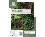 フェイクグリーン モアリーフ orientalA 4枚セット　ML-O-A